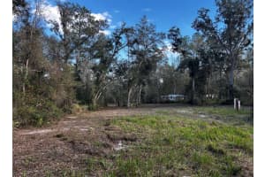 4503 CEDAR LANE, BROOKSVILLE, FL 34601 - MLS#MFRTB8478406