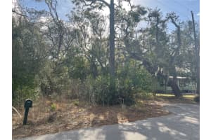 10024 OANA STREET, NEW PORT RICHEY, FL 34654 - MLS#MFRTB8478412