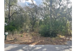 10024 OANA STREET, NEW PORT RICHEY, FL 34654 - MLS#MFRTB8478412