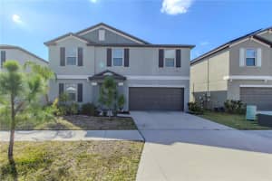 15541 COLT CREEK PLACE, SUN CITY CENTER, FL 33573 - MLS#MFRTB8478443