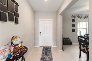 15541 COLT CREEK PLACE, SUN CITY CENTER, FL 33573 - MLS#MFRTB8478443