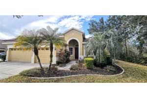 20426 Walnut Grove Ln, TAMPA 20426 Walnut Grove Ln, TAMPA