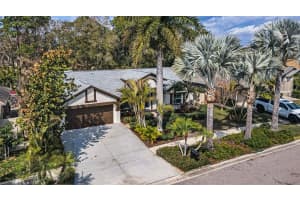 12038 STONE CROSSING CIRCLE, TAMPA, FL 33635 - MLS#MFRTB8478462