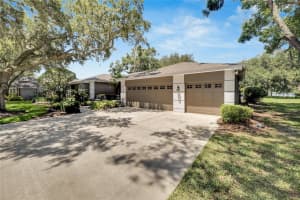 18006 CLEAR LAKE DR, LUTZ, FL 33548 - MLS#MFRTB8478496