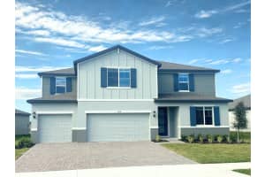 10538 Abundance Grove Way, PARRISH