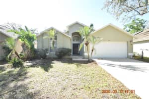2521 Clareside Dr, VALRICO