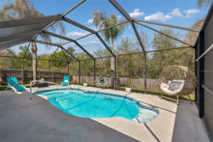 31537 EARN DRIVE, WESLEY CHAPEL, FL 33545 - MLS#MFRTB8478540