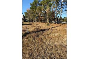 13786 LINDEN DRIVE, SPRING HILL, FL 34609 - MLS#MFRTB8478559