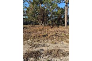 13786 LINDEN DRIVE, SPRING HILL, FL 34609 - MLS#MFRTB8478559