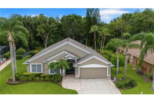 21314 Marsh Hawk Dr, LAND O LAKES