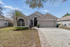 19427 MORDEN BLUSH DRIVE, LUTZ, FL 33558 - MLS#MFRTB8478562