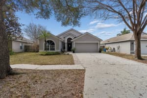 19427 MORDEN BLUSH DRIVE, LUTZ, FL 33558 - MLS#MFRTB8478562