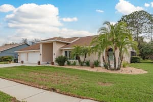 6617 THOROUGHBRED LOOP, ODESSA, FL 33556 - MLS#MFRTB8478588