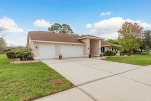 6617 THOROUGHBRED LOOP, ODESSA, FL 33556 - MLS#MFRTB8478588