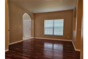 1120 BLACKWATER DRIVE, WESLEY CHAPEL, FL 33543 - MLS#MFRTB8478601