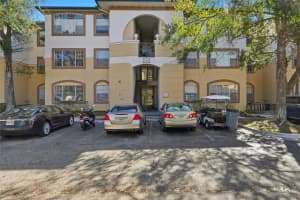 17106 CARRINGTON PARK DRIVE, TAMPA, FL 33647 - MLS#MFRTB8478608