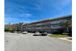 2461 Rhodesian Dr #31, CLEARWATER