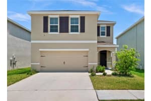 17032 OVAL RUM DRIVE, WIMAUMA, FL 33598 - MLS#MFRTB8478620