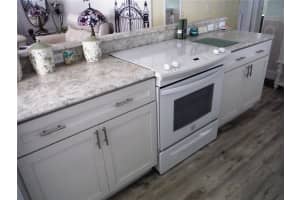 124 JUNIPERUS DRIVE, SAFETY HARBOR, FL 34695 - MLS#MFRTB8478623