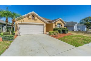 8925 Southbay Dr, TAMPA 8925 Southbay Dr, TAMPA