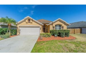 8925 SOUTHBAY DRIVE, TAMPA, FL 33615 - MLS#MFRTB8478628
