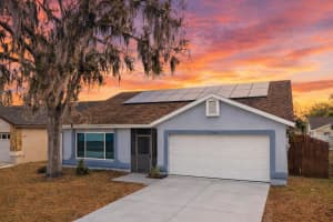 11306 Blackbark Dr, RIVERVIEW