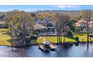 9902 Menander Wood Ct, ODESSA