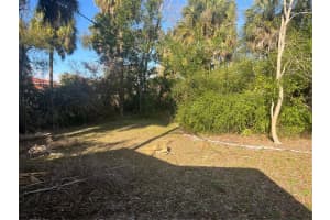 4002 SHAMROCK ROAD, TAMPA, FL 33611 - MLS#MFRTB8478669