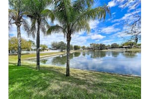 1210 WILLOW BEND WAY, LUTZ, FL 33549 - MLS#MFRTB8478677