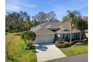 2132 Grantham Greens Dr, SUN CITY CENTER