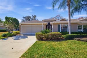 2132 GRANTHAM GREENS DRIVE, SUN CITY CENTER, FL 33573 - MLS#MFRTB8478680