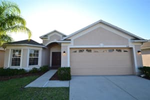 7128 Royal George Ct, WESLEY CHAPEL