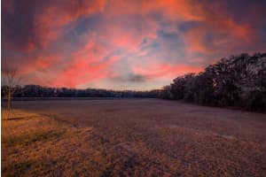 14604 HORSE TROT ROAD, LITHIA, FL 33547 - MLS#MFRTB8478703