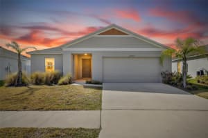 12775 MANGROVE FOREST DRIVE, RIVERVIEW, FL 33579 - MLS#MFRTB8478716
