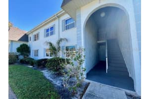 387 MCMULLEN BOOTH ROAD, CLEARWATER, FL 33759 - MLS#MFRTB8478717