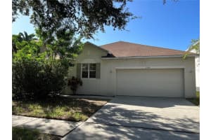 11164 Golden Silence Dr, RIVERVIEW
