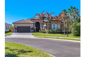 15303 VALENCIA DEL SOL STREET, WIMAUMA, FL 33598 - MLS#MFRTB8478800