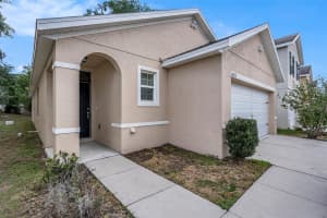 10212 HAWK STORM AVENUE, TAMPA, FL 33610 - MLS#MFRTB8478807