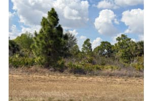 524 COLUMBUS BOULEVARD, LEHIGH ACRES, FL 33974 - MLS#MFRTB8478809