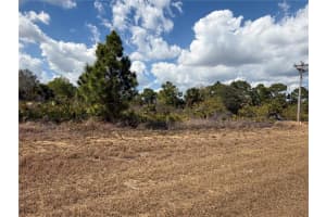 524 COLUMBUS BOULEVARD, LEHIGH ACRES, FL 33974 - MLS#MFRTB8478809