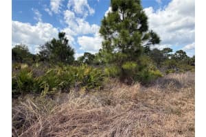 524 COLUMBUS BOULEVARD, LEHIGH ACRES, FL 33974 - MLS#MFRTB8478809