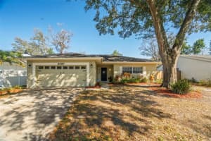 2397 E Orangehill Ave, PALM HARBOR 2397 E Orangehill Ave, PALM HARBOR