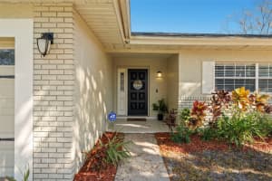 2397 ORANGEHILL AVENUE, PALM HARBOR, FL 34683 - MLS#MFRTB8478826