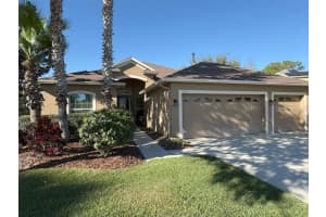 3347 DIAMOND FALLS CIRCLE, LAND O LAKES, FL 34638 - MLS#MFRTB8478828