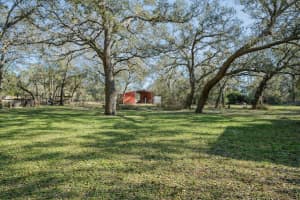 16314 TIGER TRAIL, SPRING HILL, FL 34610 - MLS#MFRTB8478874