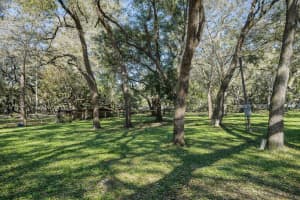 16314 TIGER TRAIL, SPRING HILL, FL 34610 - MLS#MFRTB8478874