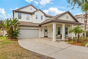 8205 NECTAR RIDGE COURT, ODESSA, FL 33556 - MLS#MFRTB8478886