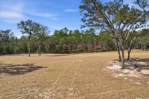 2720 FAWN COURT, INVERNESS, FL 34452 - MLS#MFRTB8478887