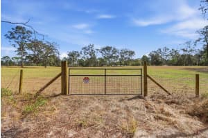 2720 FAWN COURT, INVERNESS, FL 34452 - MLS#MFRTB8478887