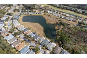 10824 COLLAR DR, SAN ANTONIO, FL 33576 - MLS#MFRTB8478888